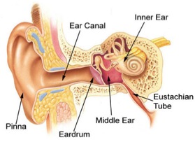 How Cold Weather Affects the Ear Nose & Throat
